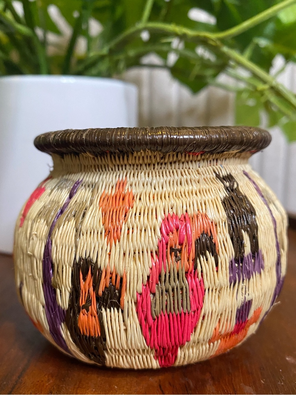 Wounaan Darien Embera Indian Basket Panama Rainforest Fine Weave Birds Parrots